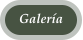 Galer�a